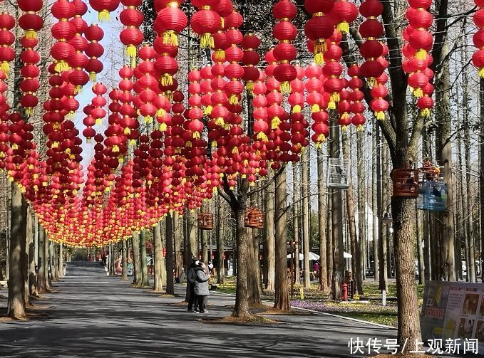 中年|新年到，崇明各景区（点）年味满满