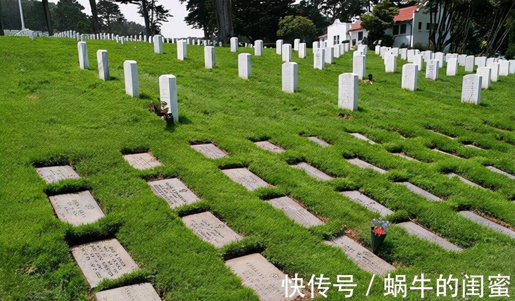 落叶归根#北大教授:现在的殡葬制度,是把过世的人当垃圾处理