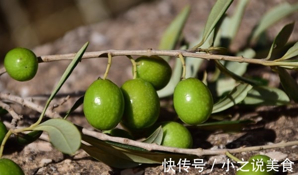 橄榄|4物是糖尿病的“死对头”,每天坚持吃两口,或助血糖慢慢下降