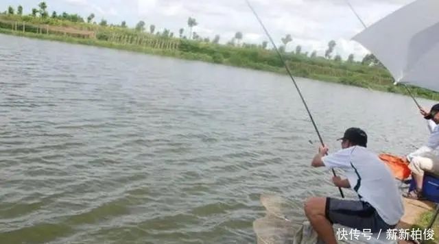 天气|夏天一到,鱼就难钓碰到两种天气,够你狂拉一整天,不信就试试