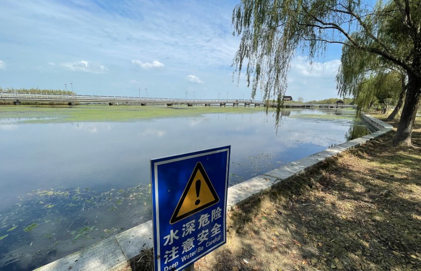 小伙|小伙阳澄湖畔勇救落水父女：我家老连长说，见人有难得出手！