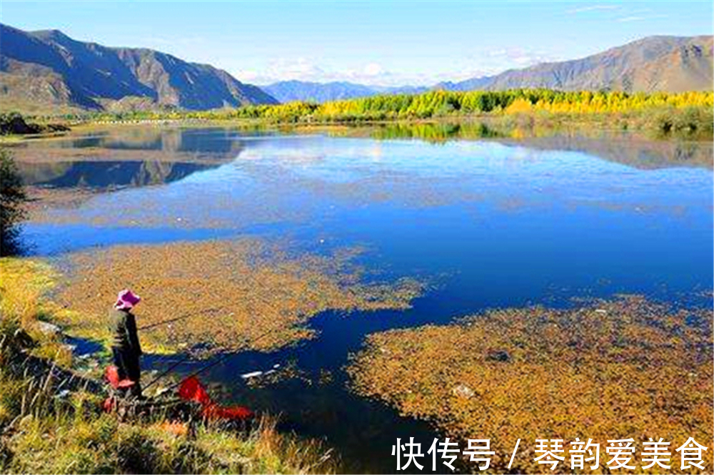 晚秋钓鲫鱼,找到鱼窝的3个步骤,按照步骤来,成功几率十之八九