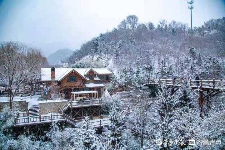 南山|大雪降落济南南山，瞬间塑出人间仙境