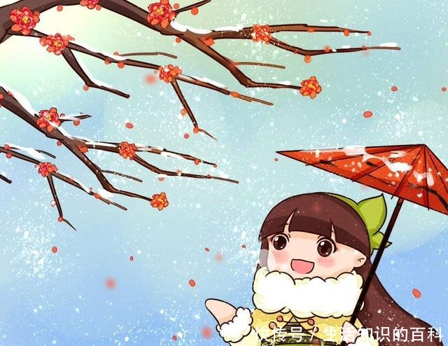 古代人都爱养的“4种花”，特上档次，家里养一盆，富贵满堂！