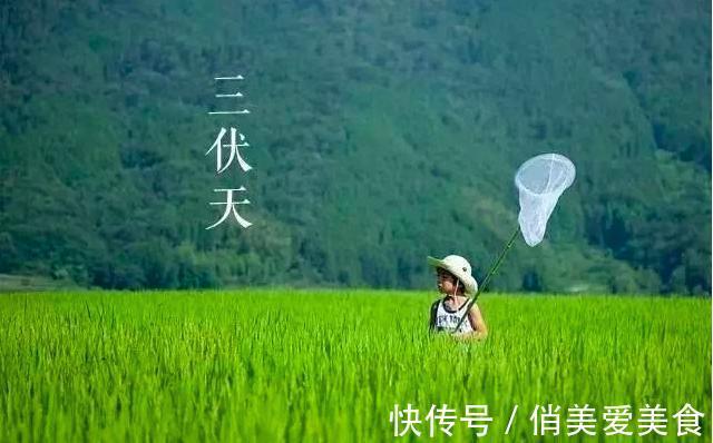 头伏|2021年的三伏天从啥时候开始?到哪天结束?共多少天?快来看看