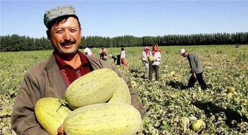 改过来|400年前康熙叫错一水果名,国人跟着错了400年,至今还没改过来