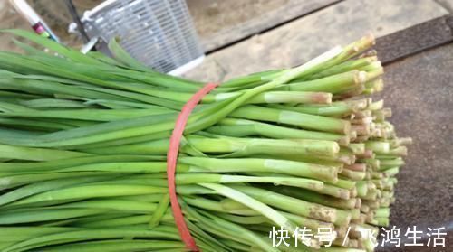 长寿|想长寿全靠吃,3种食物不错过,美容养颜、提高免疫力!