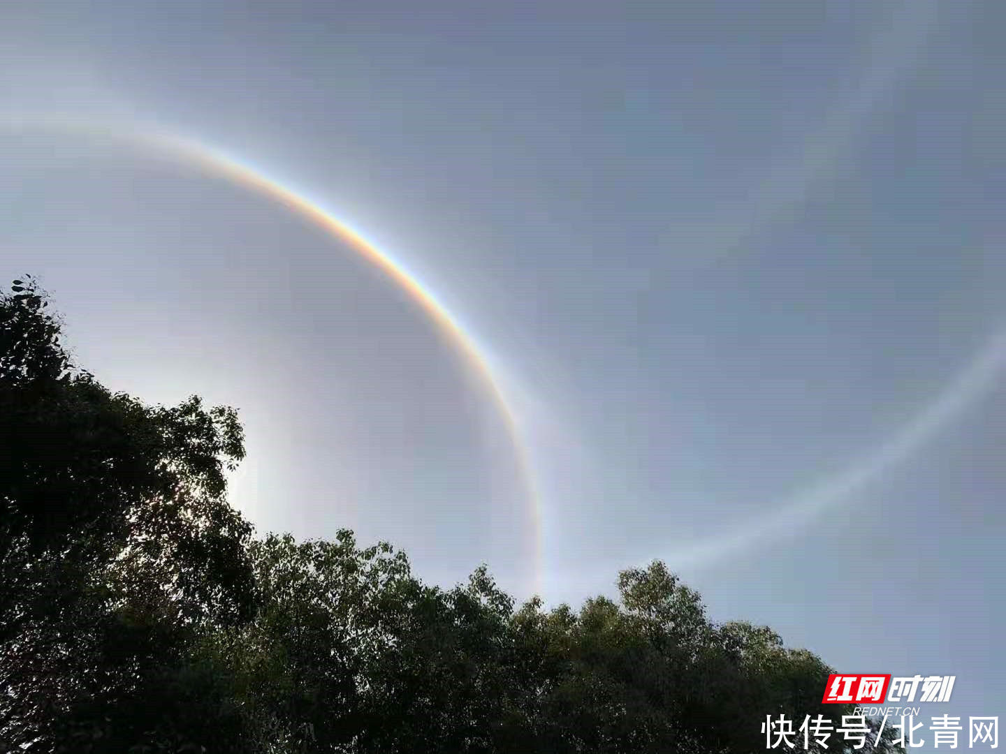 奇观！衡阳现“日晕”大片刷爆朋友圈