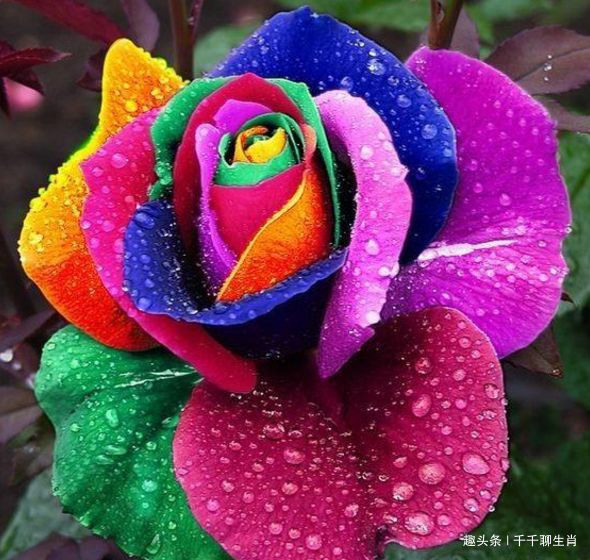 化妆|不喜欢化妆的3个生肖女,总以素颜淡妆示人,却显得优雅大方