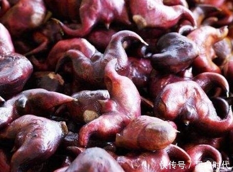 农村|农村这几种不常见的野菜，识得是宝，不识的都当草了