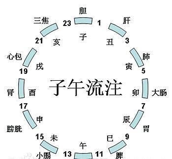 子午流注十二时辰养生法 11 戌时 心包经 快资讯