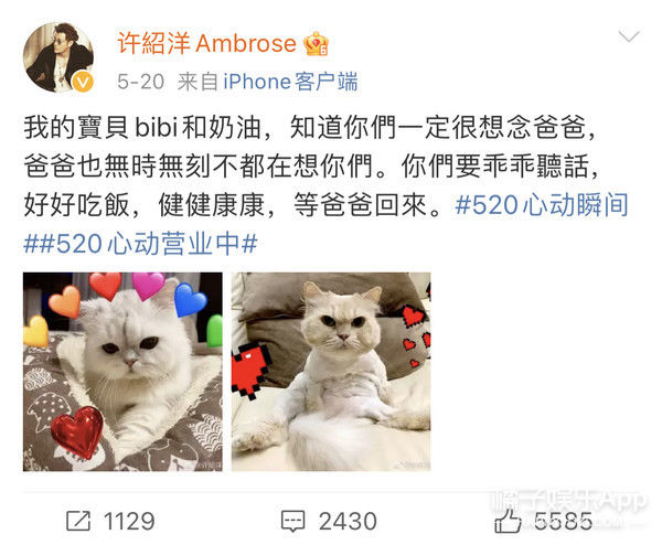 海豚湾恋人|还记得《海豚湾恋人》的许绍洋吗？去当健身教练了？