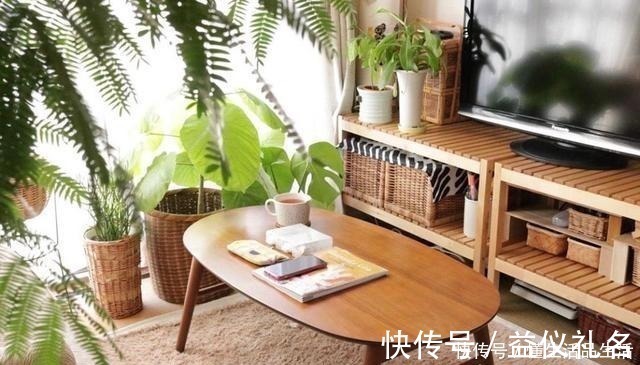 房子|日本退休夫妇的蜗居生活,房子虽小却布置得温馨精致,惹人喜爱!