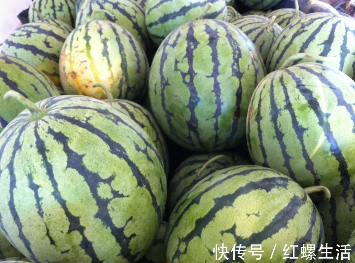 西瓜|西瓜甜不甜，内行人都看这里，一挑一个准，瓜农的方法简单又实用