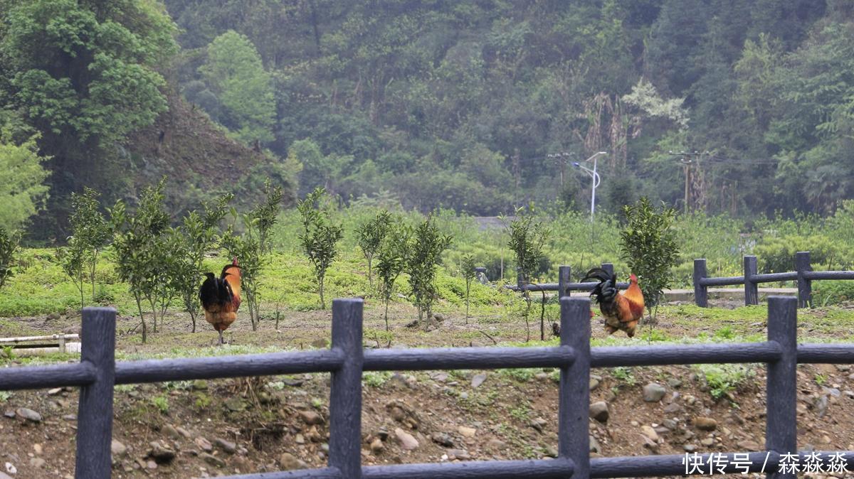 茶马古道上的辰龙关，与沅水相伴，与山海关齐名