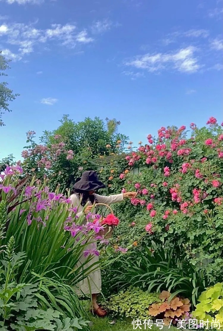 满园|2年前,买了一栋带院子的房子,在高楼喧嚣中建一个“梦幻花园”