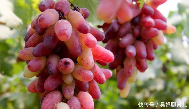 45岁后,6种食物最好多吃些,抗衰老清血管还显年轻,赶紧收藏