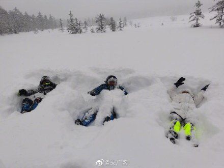 凤凰山|雪深超一米！黑龙江凤凰山高山雪原风姿初现