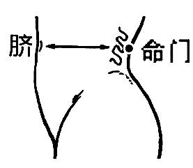 头面|按摩命门穴可强腰健肾