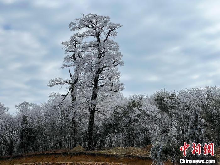 雪原|广西北部深山出现一片彩色雪原