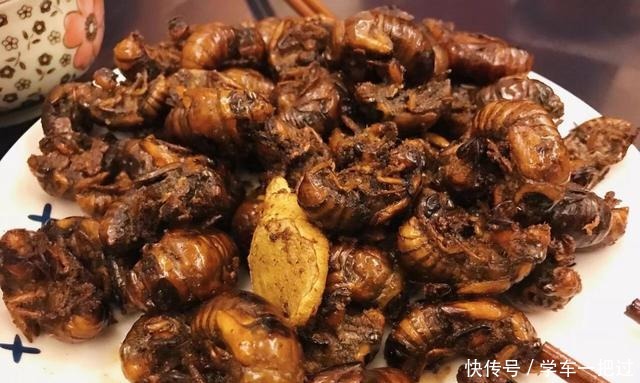 室友带来的这些“美味特产”,实在是无福消受,尝一下差点绝交!