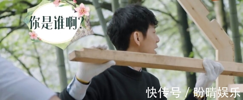 彭彭|向往:何炅失忆了?看到彭彭也不认识了,黄磊上前鉴定“伤情”!