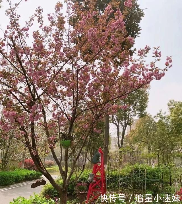 有了30平方的小院,能将日子过成了诗简单而精致,优雅而从容