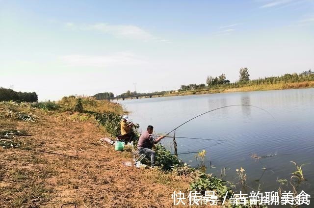 垂钓|冬季野钓鲫鱼,饵料重要但不是核心,那谁才是关键