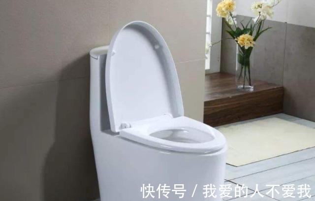 垃圾桶|卫生间没窗户,臭味很难散掉,教你4个好方法,去味还干净