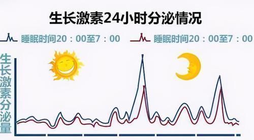 哈佛大学|哈佛大学研究发现:孩子在2个“黄金期”睡觉,更有助于大脑发育
