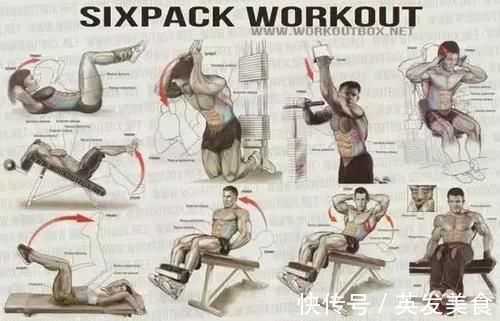 训练|健身房常用训练图解，每张图都是训练计划！