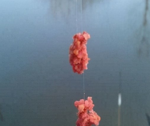 野钓鲫鱼如何巧妙搭配线组，线组的搭配不对一切辛苦全白费！