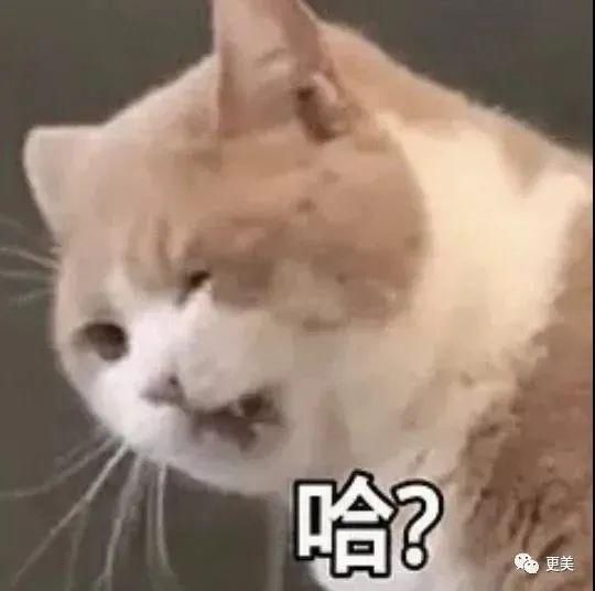 收缩压|单纯舒张压高，要管吗？医生这样说→