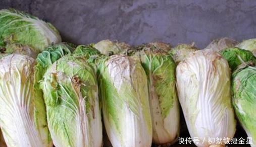 保存白菜的方法|白菜好吃容易坏,教你3个方法,白菜久放不烂不发黑,新鲜好吃