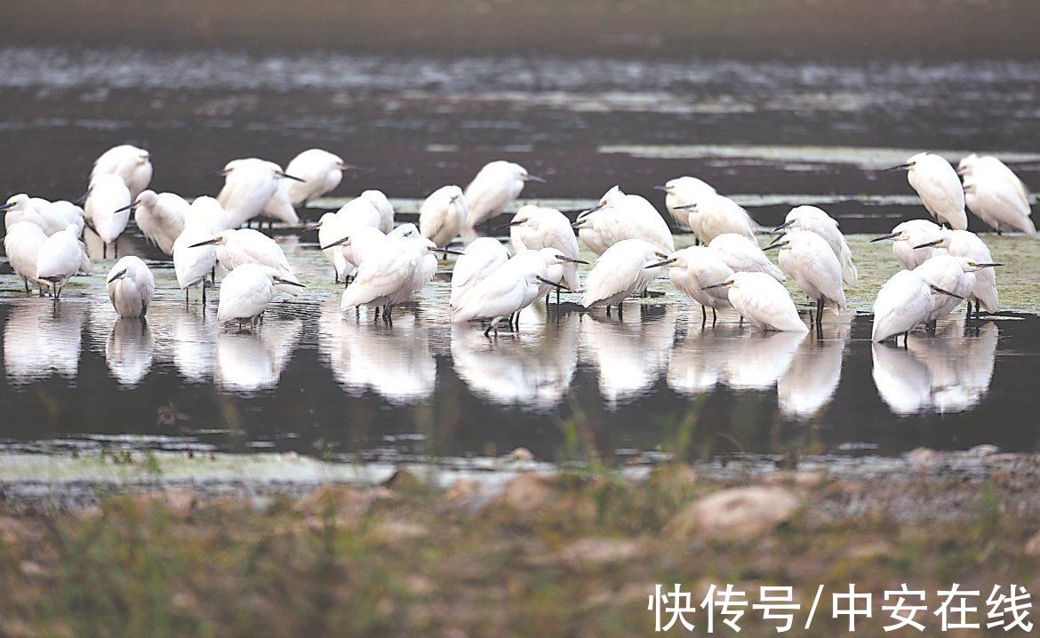 浪花|浪花里飞出欢乐的歌