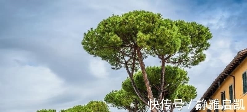 唐诗@一首充满哲理的唐诗,通篇短短的28个字,读来却是令人赞叹!