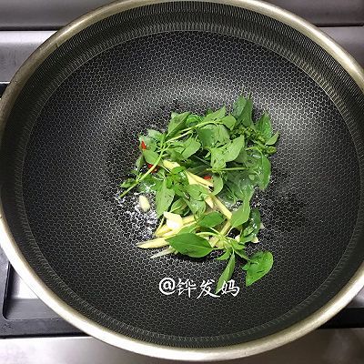 九层塔叶炒花蛤