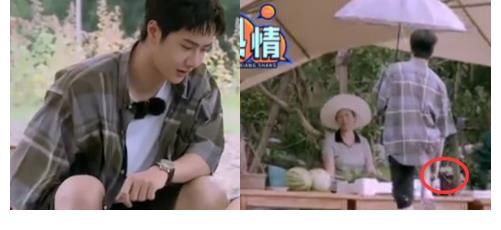 小狮子|王一博：枫哥带王一博的露营之旅，宝宝要下水游泳，能否游成功了