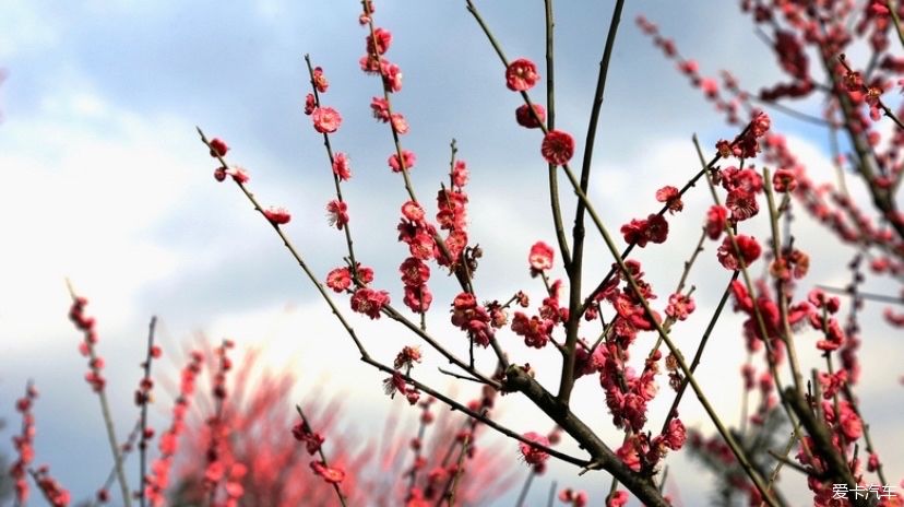 一日穿越四朝，恍若梦回千年