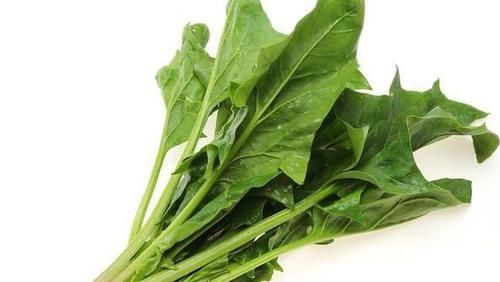 女性不愿老太快，堅持吃3種食物，營養(yǎng)豐富，改善體質(zhì)，好處多多