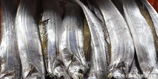 海鲜|深海中,却成了中国最平民的海鲜,四月份大量捕捞,鲜嫩实惠