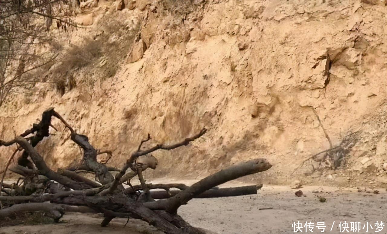 老话说:借米不借柴,借衣不借鞋,为啥不能借柴和鞋?