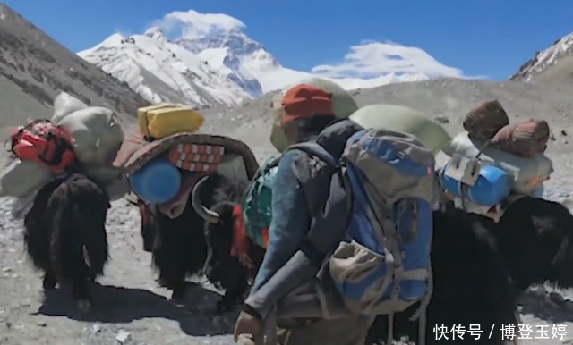 海拔 珠峰“身高”测量重启,为什么不用无人机?专家表示:不太现实