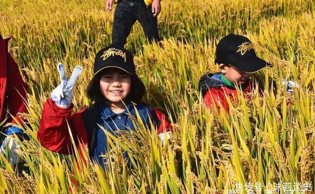 富贵命|孩子是不是“富贵命”,主要看4点,中了的话,父母就有福咯