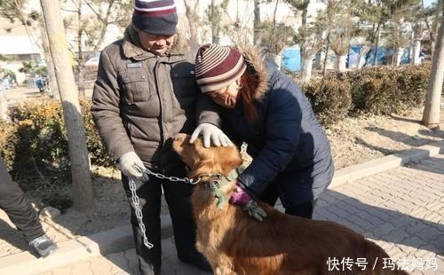 碳酸饮料|70岁大爷骨密度从-3提升到0.4,经验是常服1物,骨不疏松