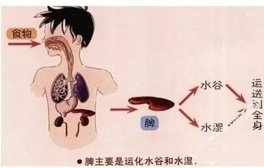 湿气|湿气重,这12条铁律,贵在坚持!戒掉4事,脾健、湿气除,一身轻