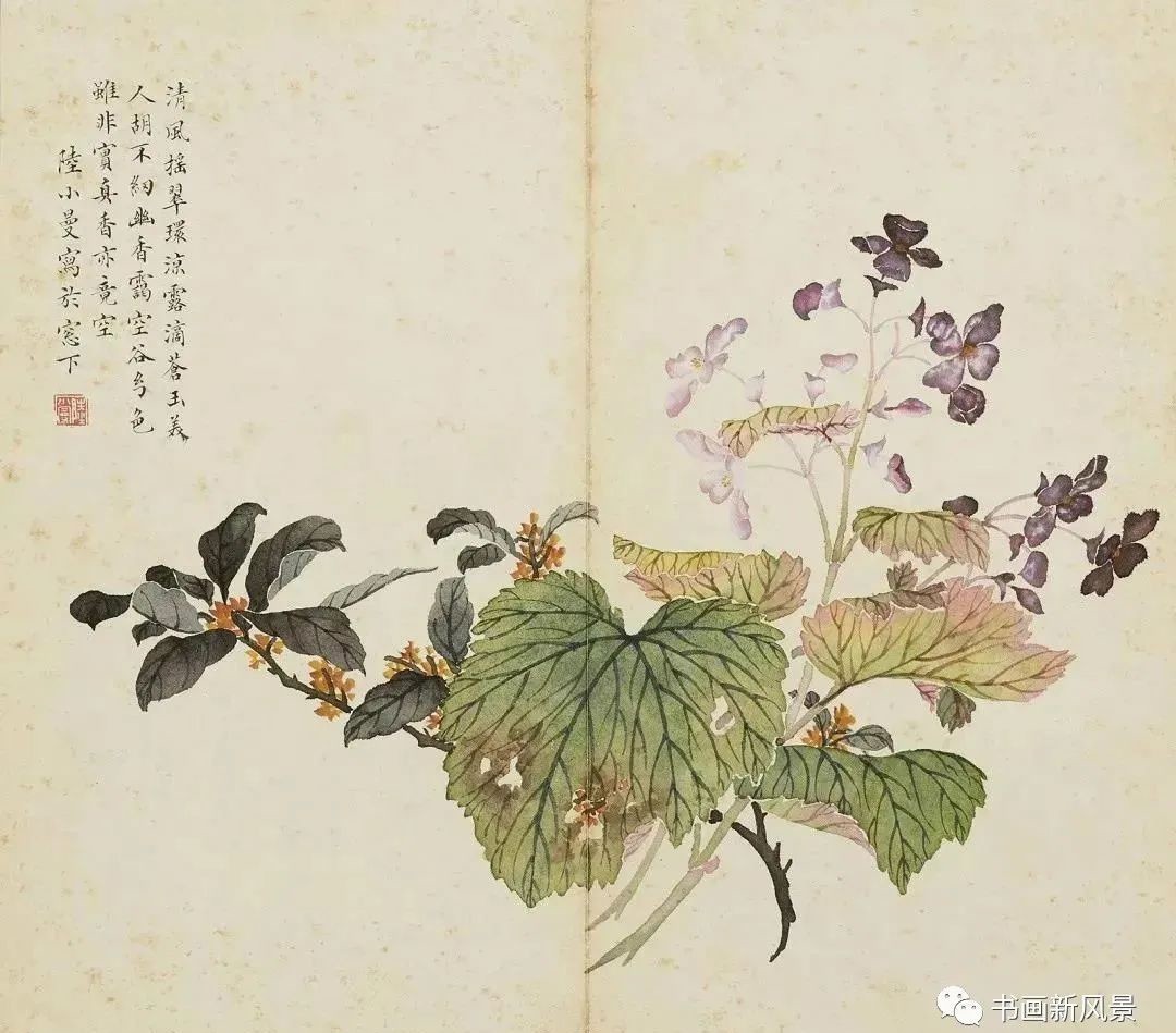 陆小曼花卉册页,很美很惊艳!