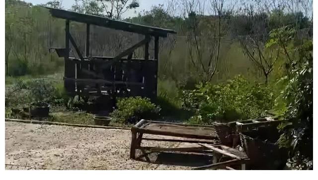 向往的生活|《向往的生活》蘑菇屋被曝光，改造后焕然一新，设备齐全环境宜人
