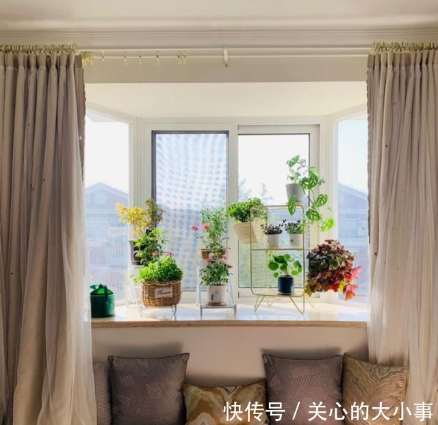 一米宽的小阳台,也能养出繁花似锦!