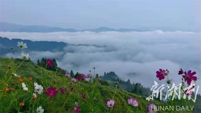  穿岩山|雪峰山上的黎明风景